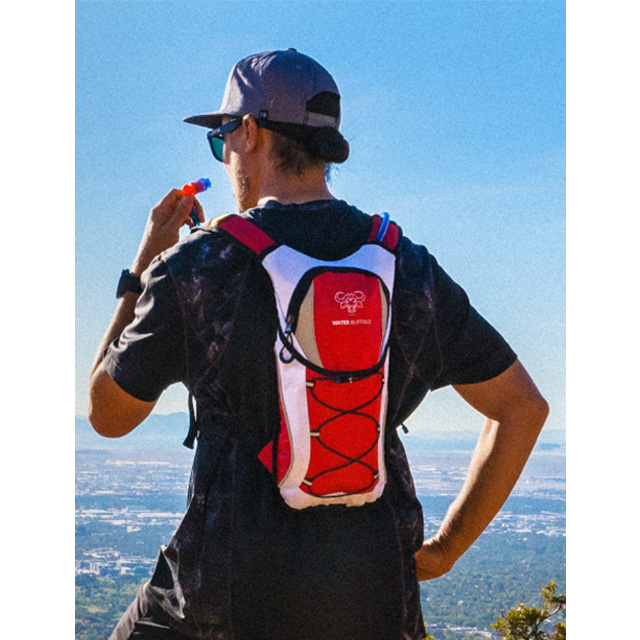 case-Dongguan JingHao Handbag Products Co., LTD